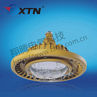 BAD8610防爆免维护节能灯(LED)