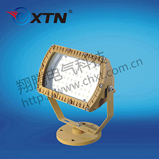 BAD8679防爆免维护投光灯/泛光灯(LED)