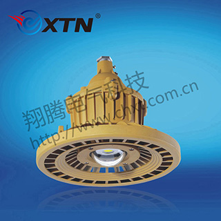 BAD8640防爆免维护节能灯(LED)