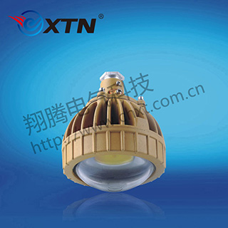 BAD8650防爆免维护节能灯(LED)