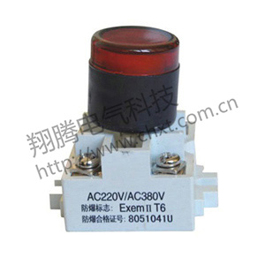 BD8050防爆指示灯