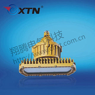 BAD8670防爆免维护节能灯(LED)