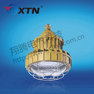 BAD8620防爆免维护节能灯(LED)