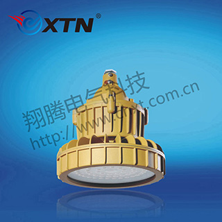 BAD8628免维护防水防尘防腐节能灯(LED)