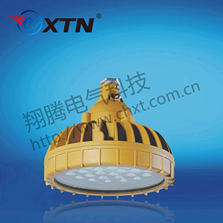 BAD8638免维护防水防尘防腐节能灯(LED)