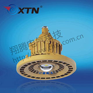BAD8648免维护防水防尘防腐节能灯(LED)