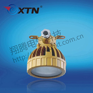 BAD8658免维护防水防尘防腐节能灯(LED)