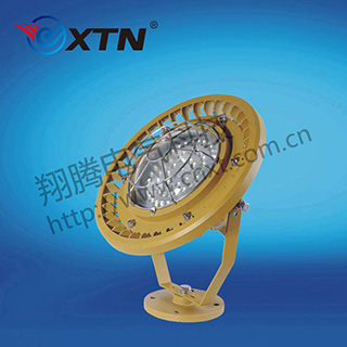 BAD8619防爆免维护投光灯/泛光灯(LED)