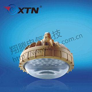 BAD8630防爆免维护节能灯(LED)