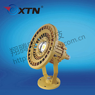 BAD8649防爆免维护投光灯/泛光灯(LED)